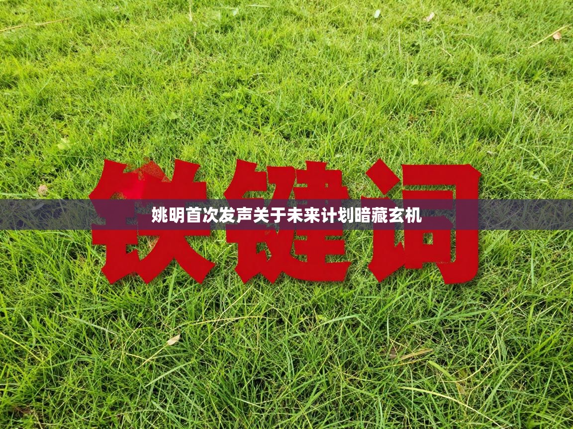 姚明首次发声关于未来计划暗藏玄机  第2张